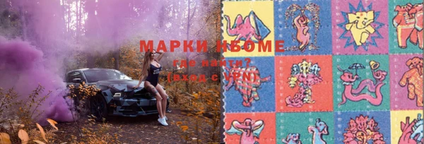 стафф Нефтегорск