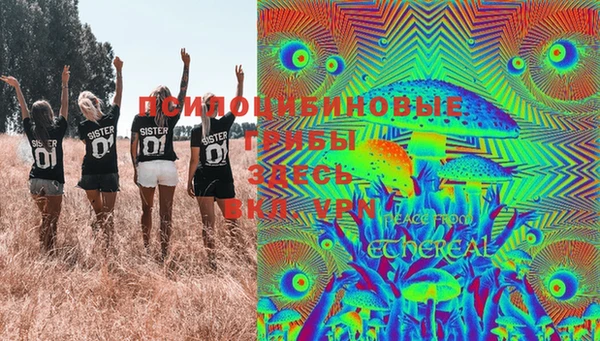 PSILOCYBIN Нея