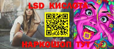 mdpv Гатчина