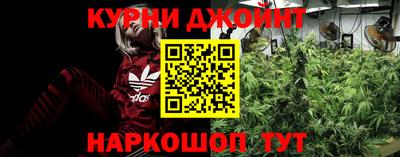 крисы Абакан