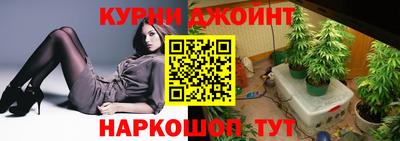 крисы Абакан