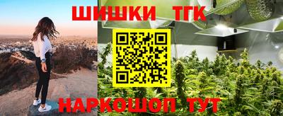 mdpv Гатчина