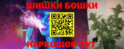 крисы Абакан
