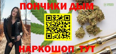 крисы Абакан