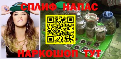 дмт Гай