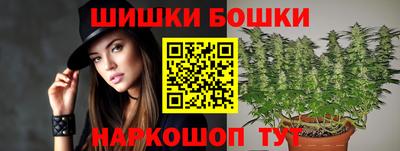 крисы Абакан