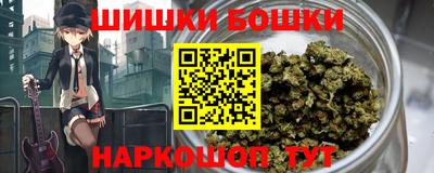 крисы Абакан