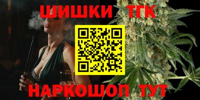 дмт Гай