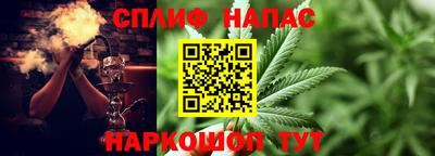 mdpv Гатчина