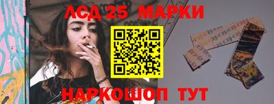 крисы Абакан