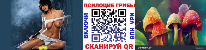 Псилоцибиновые грибы Cubensis  наркотики  Алексин 