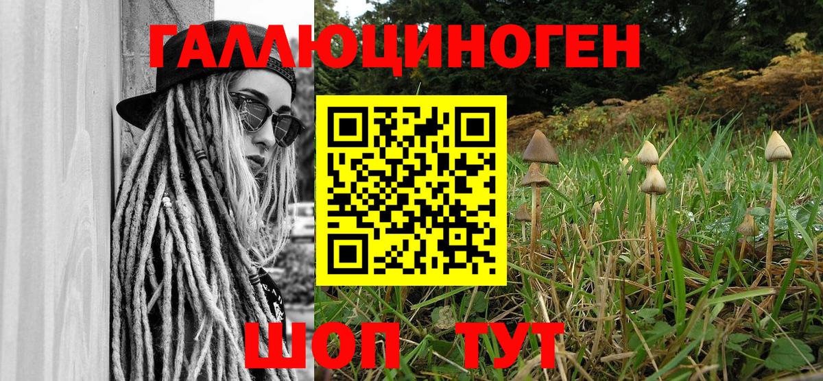 Псилоцибиновые грибы мицелий  Вход с VPN  Алексин 