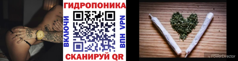 закладка  Алексин  сайты даркнета Telegram  Канабис планчик 