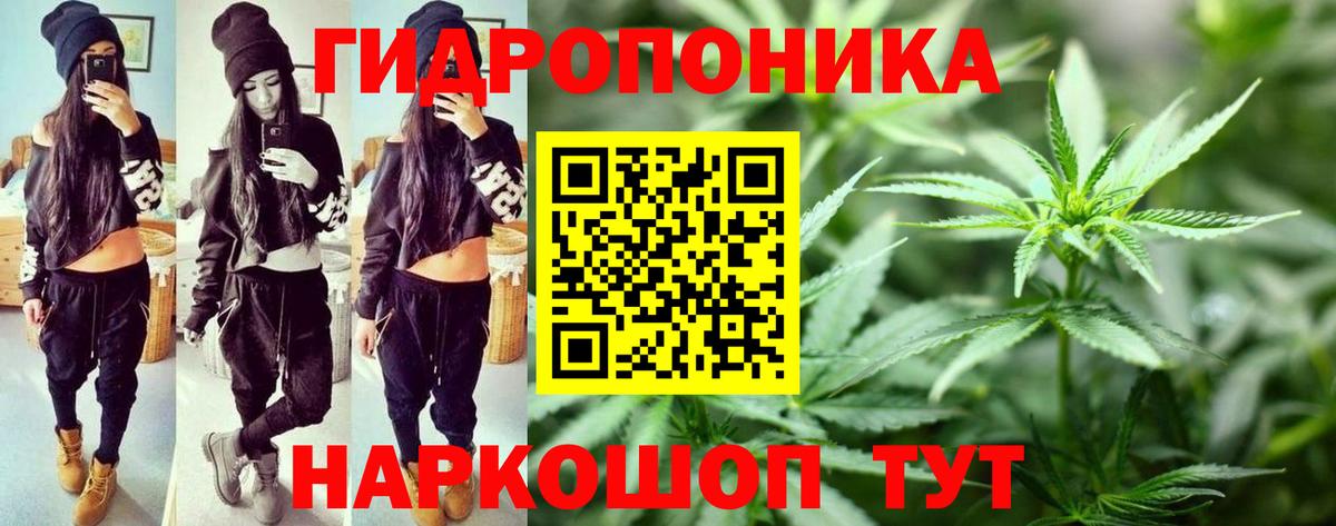 Канабис сатива  Конопля SATIVA & INDICA  Алексин  Вход с VPN  Шишки марихуана Amnesia 